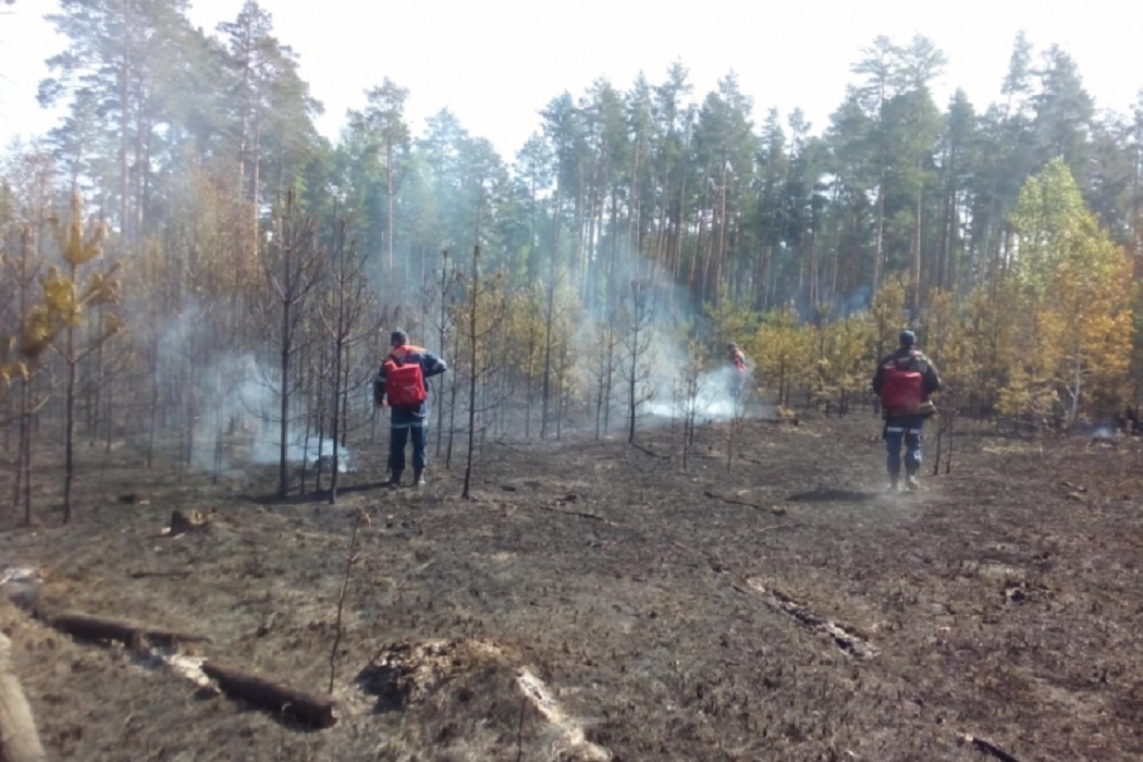 Села Зауралья снова защитили от лесного пожара