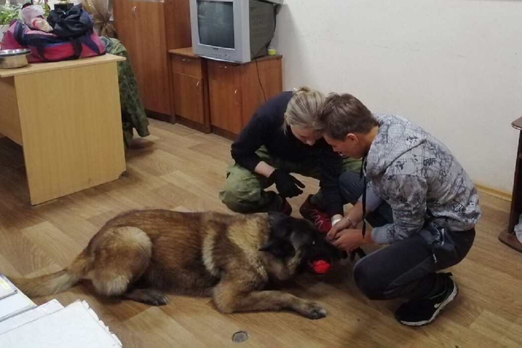 кинолог
