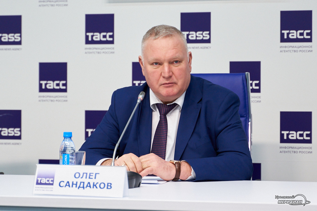 Как законно купить новогоднюю ёлку: репортаж из Билимбаевского лесничества