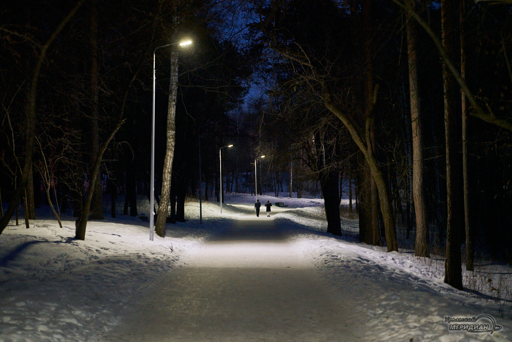 аллея парк зима фонарь люди