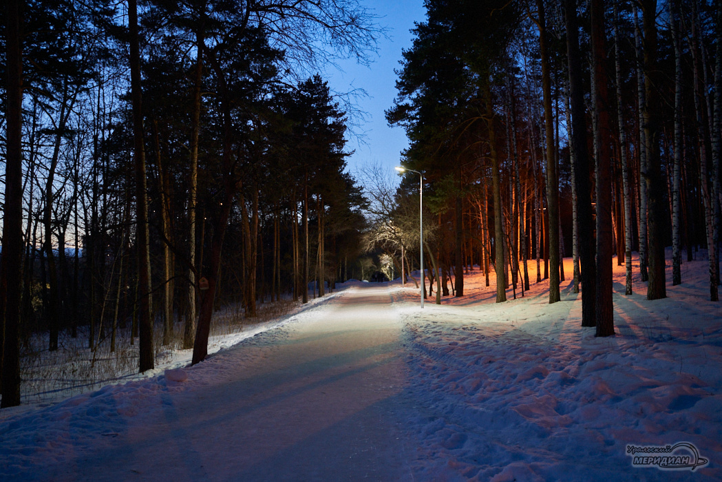 аллея парк зима фонарь