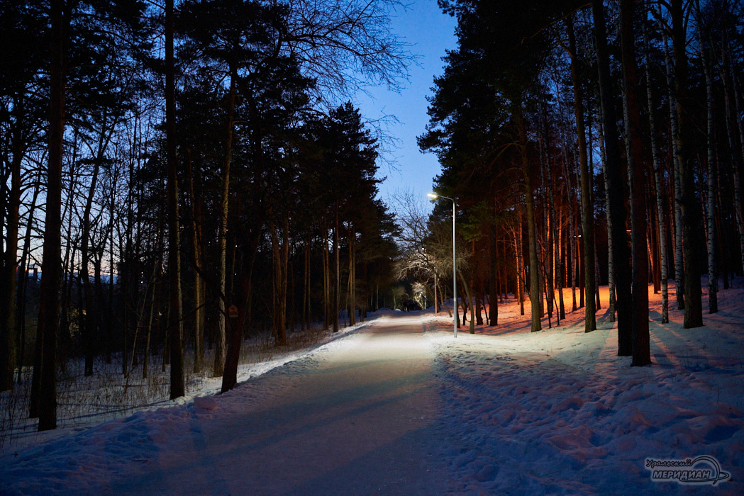 аллея парк зима фонарь