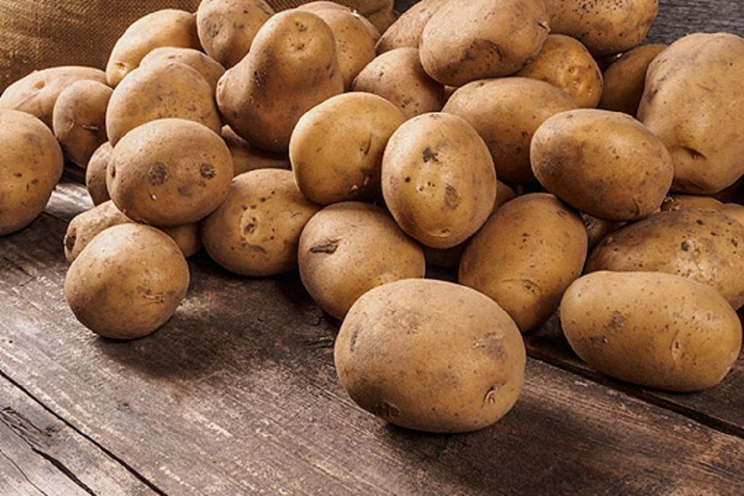 В Курганской области 60 тонн картофеля вернули обратно в Тюменскую область