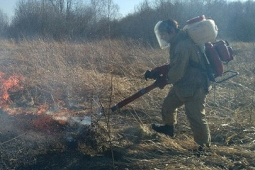 Уральские экологи помогают тушить пожары в заказнике «Журавлиная Родина»