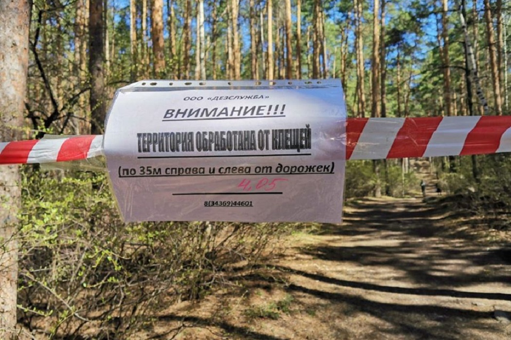 В Екатеринбурге Шарташский лесопарк обрабатывают от клещей