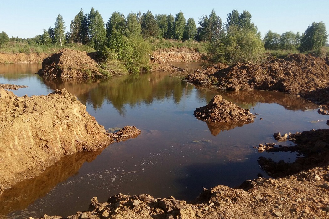 Минприроды оценило ущерб от осушения Шиловских болот