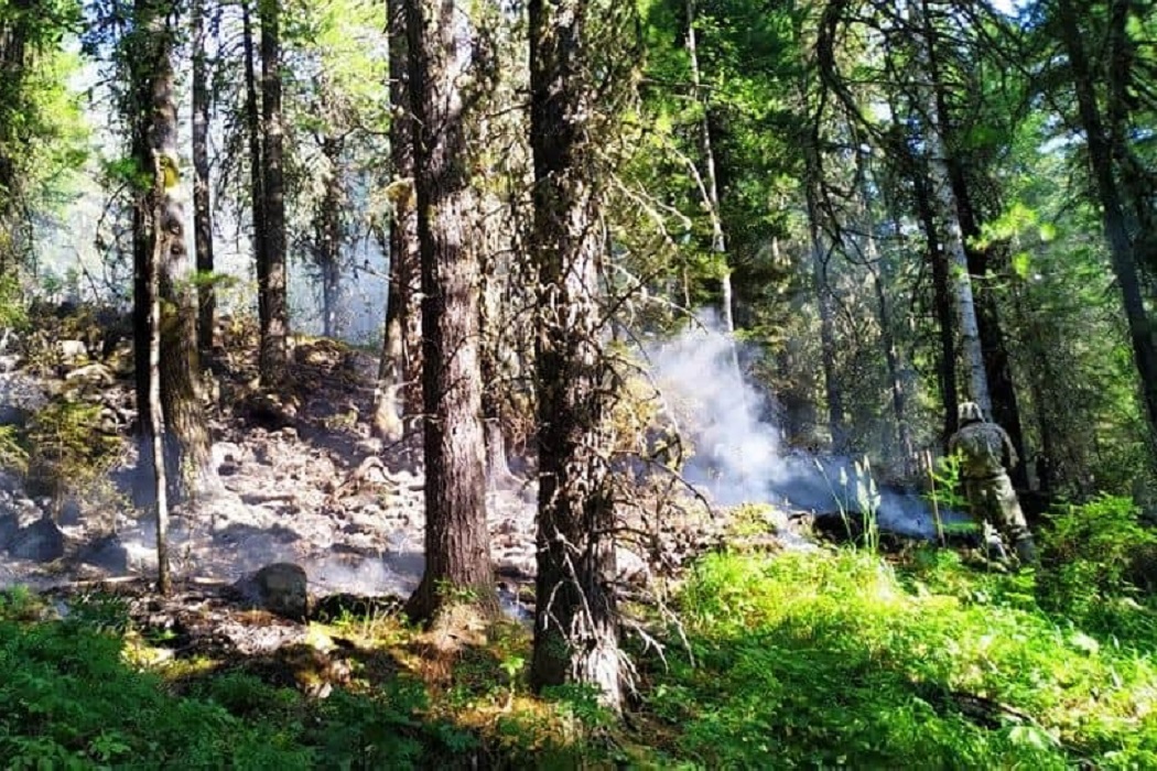 Появились фото пожара в заповеднике «Денежкин камень»