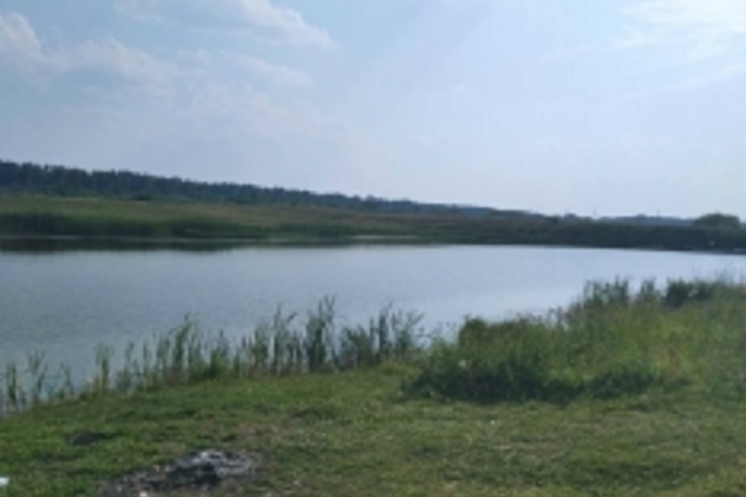 В Заводоуковском районе 4-летний ребёнок утонул в реке
