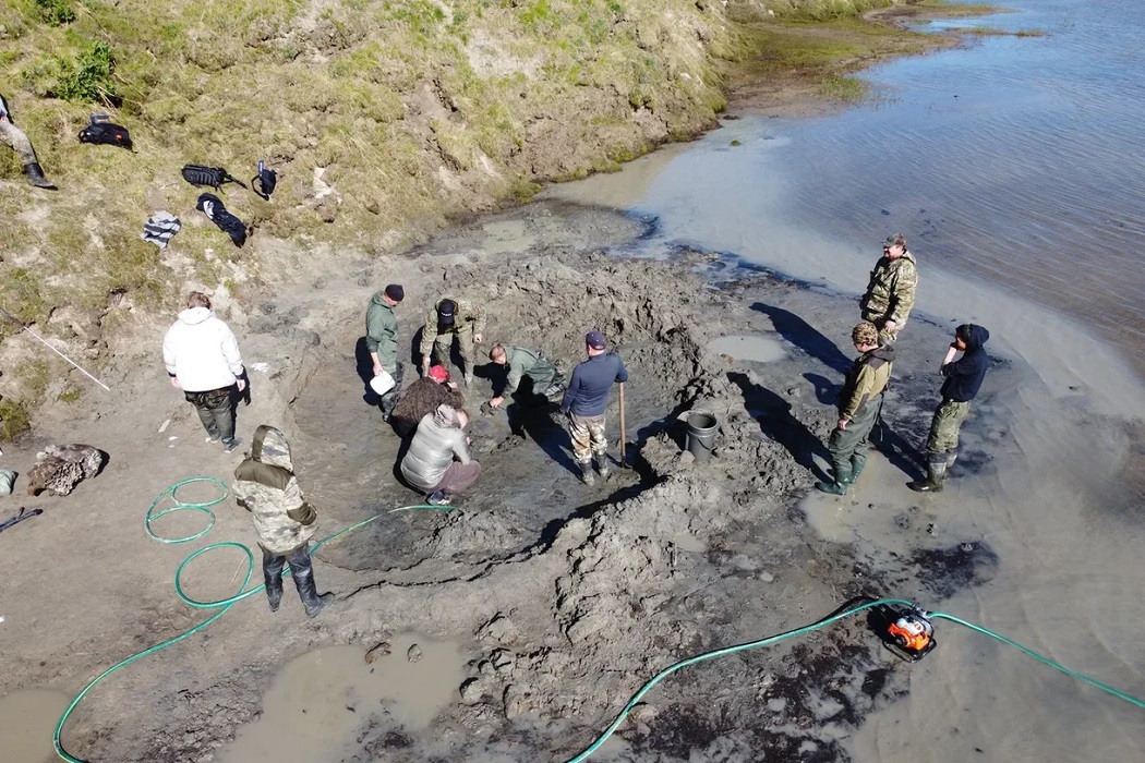 В ямальском озере найдены останки взрослого мамонта 5