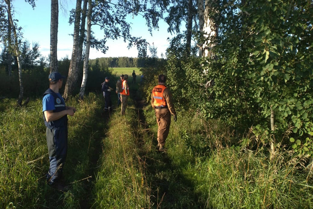 В Челябинской области в лесу пропал пенсионер с инсультом