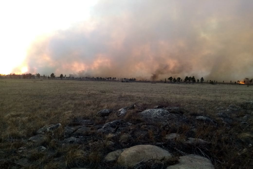 В Челябинской области загорелось 120 гектаров леса
