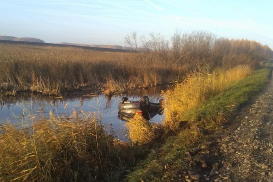 В Тюменской области пьяный водитель утонул в канаве