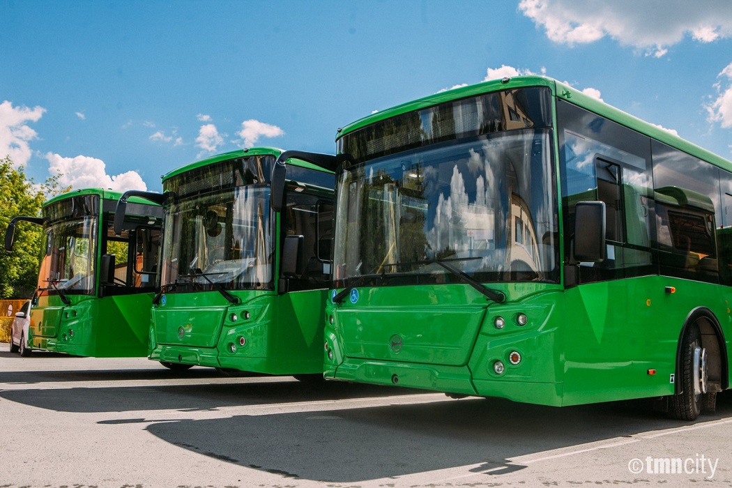 В новом году в Тюмени в несколько раз увеличится количество автобусов