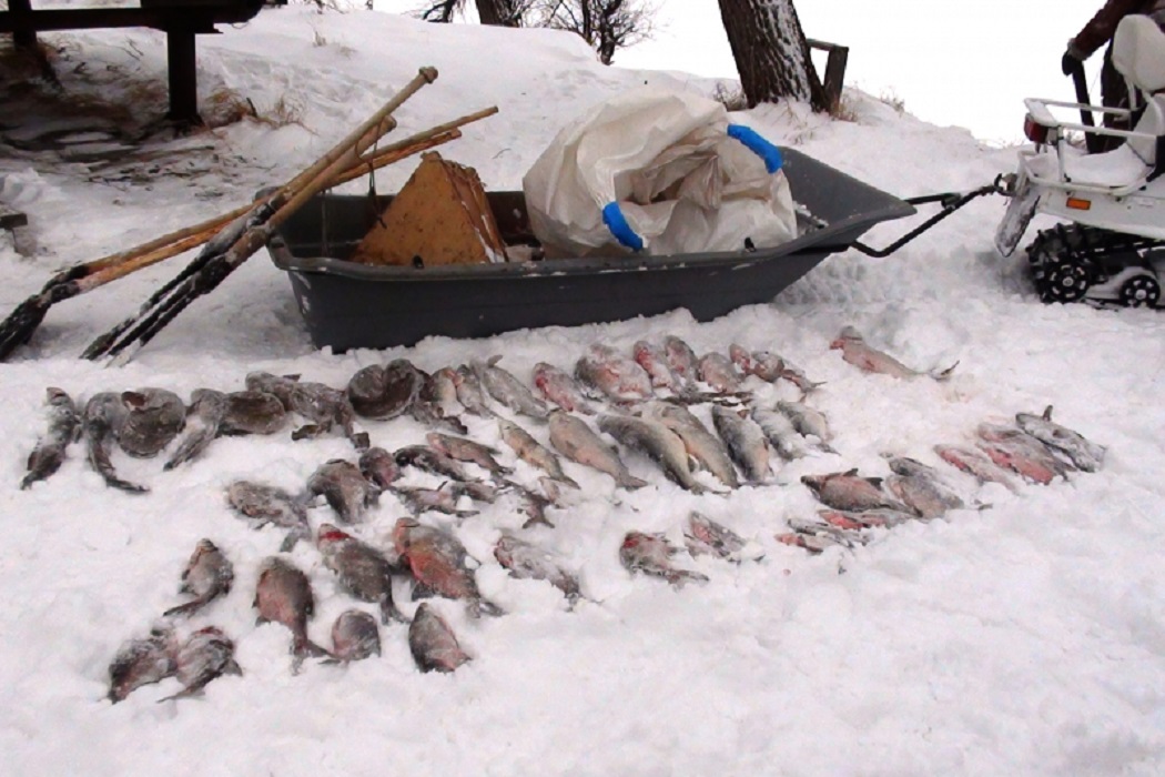 Двум тюменским браконьерам грозит срок за рыбалку в запретной зоне