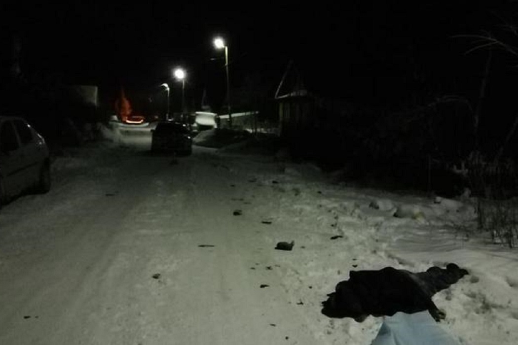 В Тобольске водитель Mitsubishi насмерть сбил пешехода и скрылся
