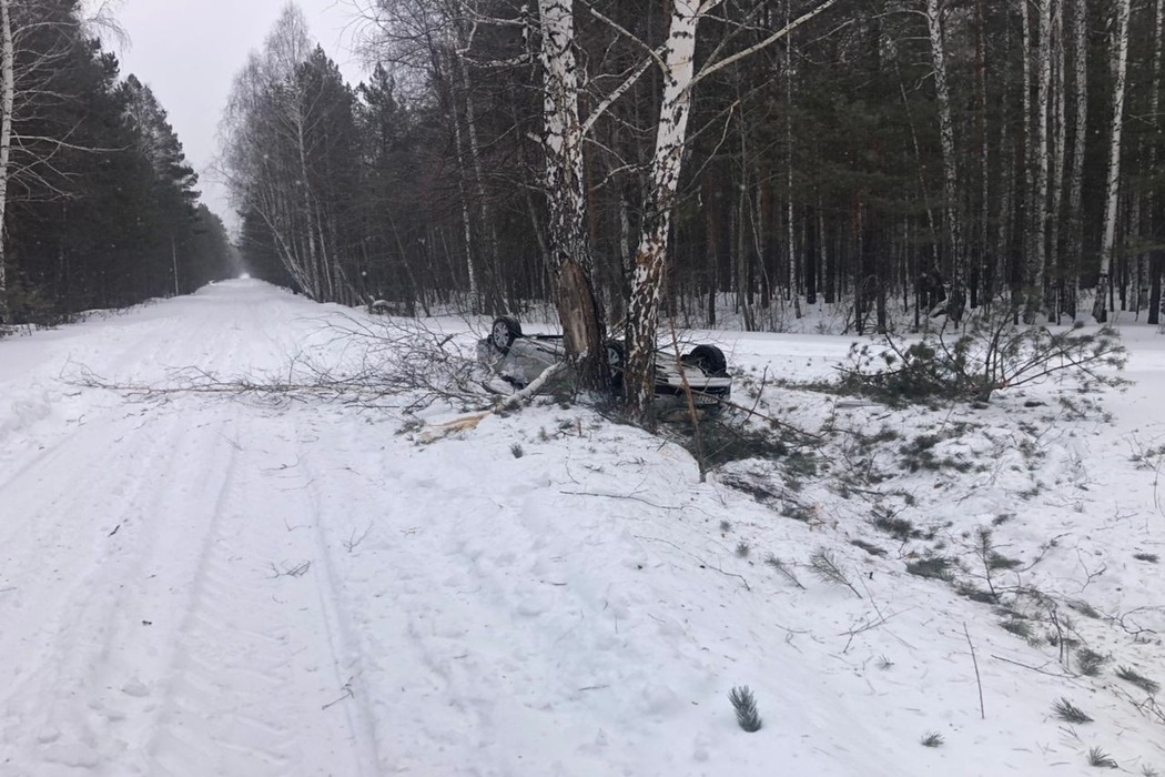 В Челябинской области 36-летняя женщина попала в ДТП, врезавшись в дерево