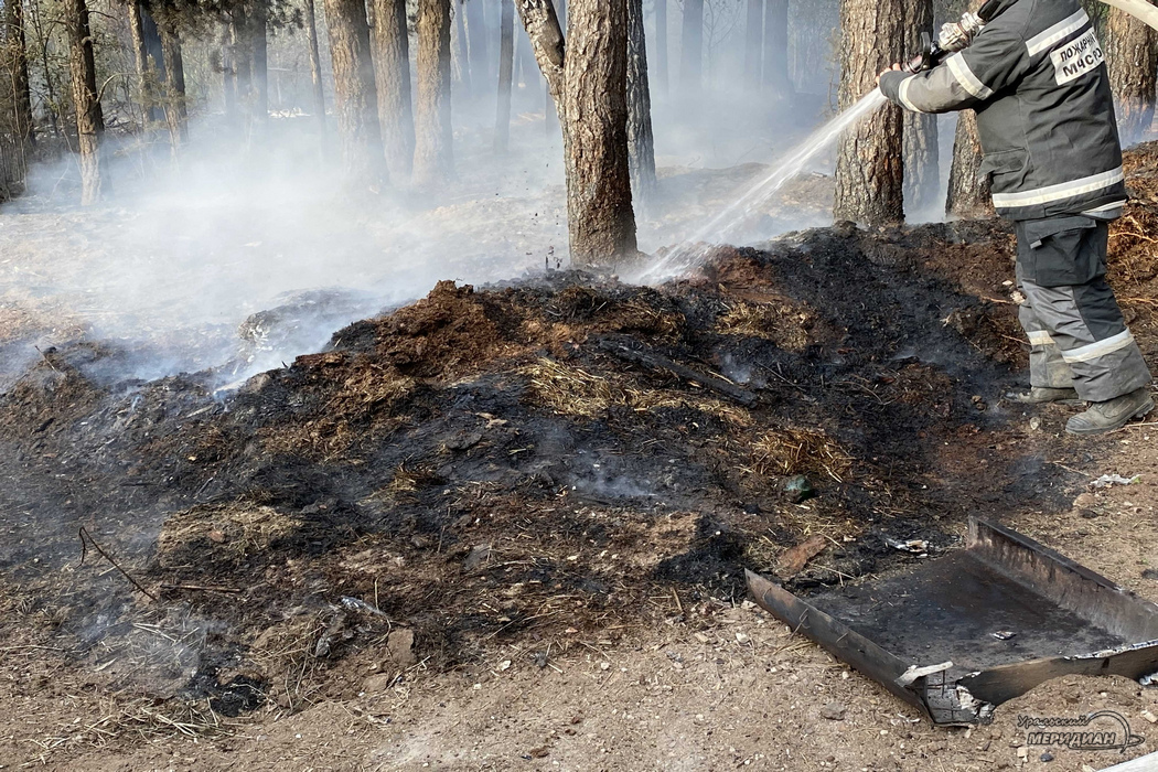 Тушение пожара в лесу сотрудником мчс