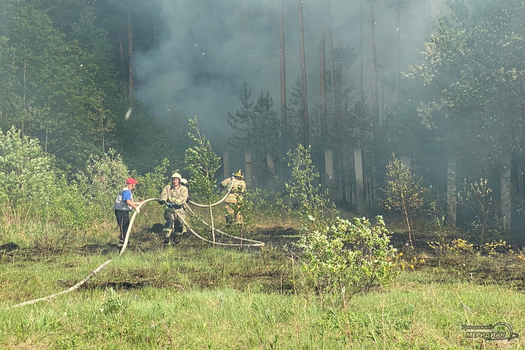 Лесные пожары площадью более 3 тысяч га потушены в Свердловской области