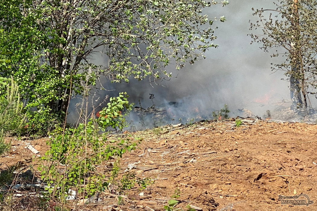 Пожар в лесу огонь дым