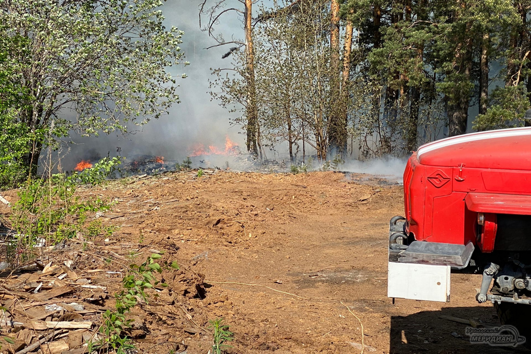 Курганские добровольцы нашли очаги возгорания в Кетовском округе