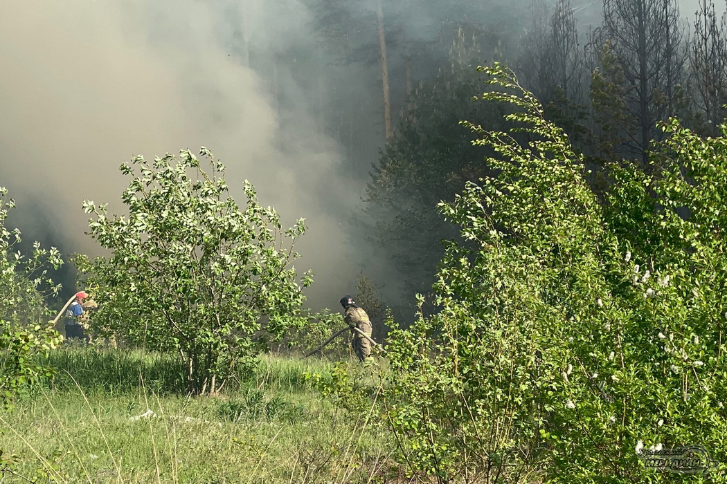 В Тюменской области действует 12 лесных пожаров