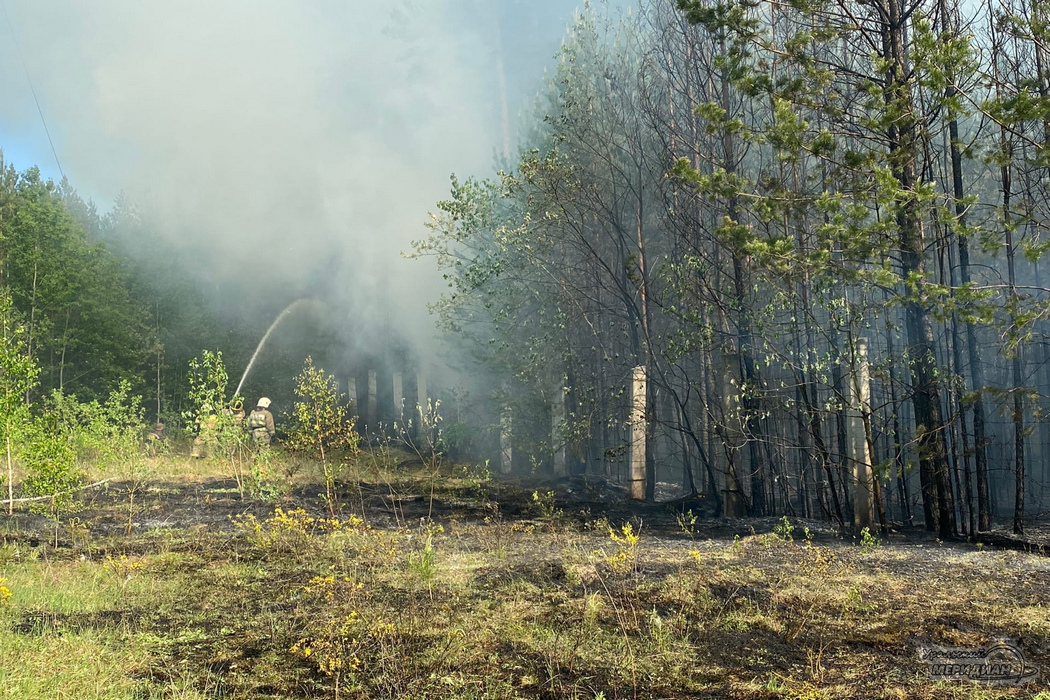 Тушение пожара в лесу дым