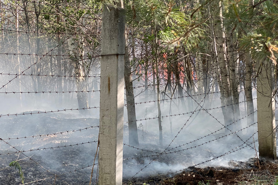 Лесной пожар огонь забор