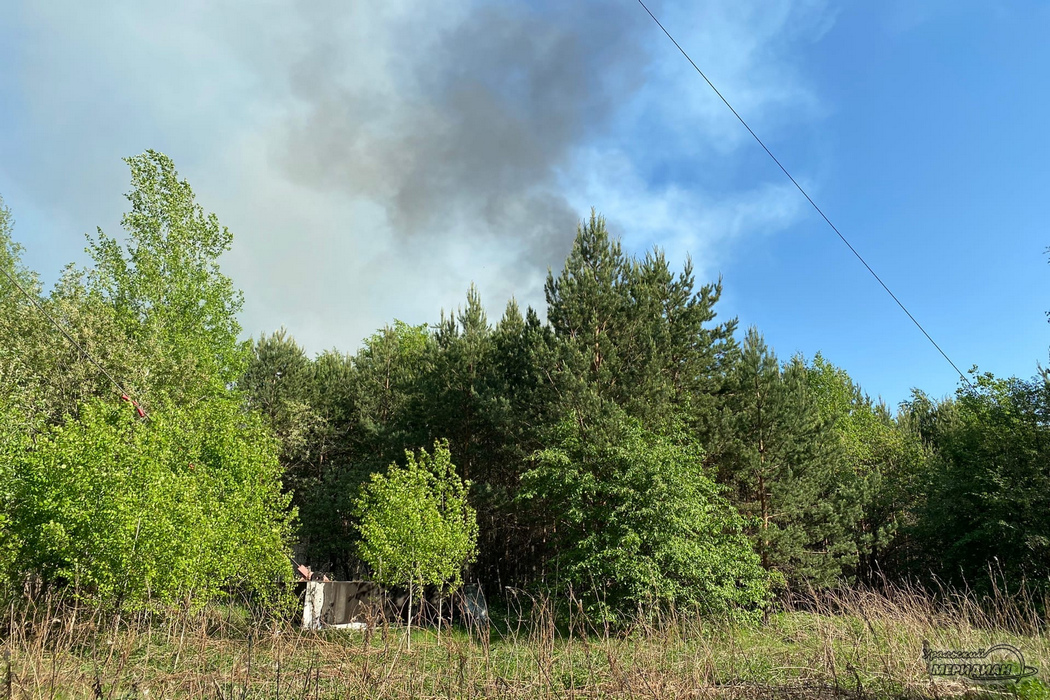 Пожар в лесу дым гарь деревья