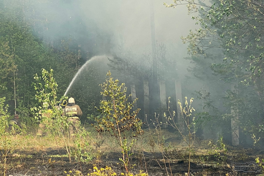 Крупное возгорание в Брединском районе произошло по горельникам 2019 года