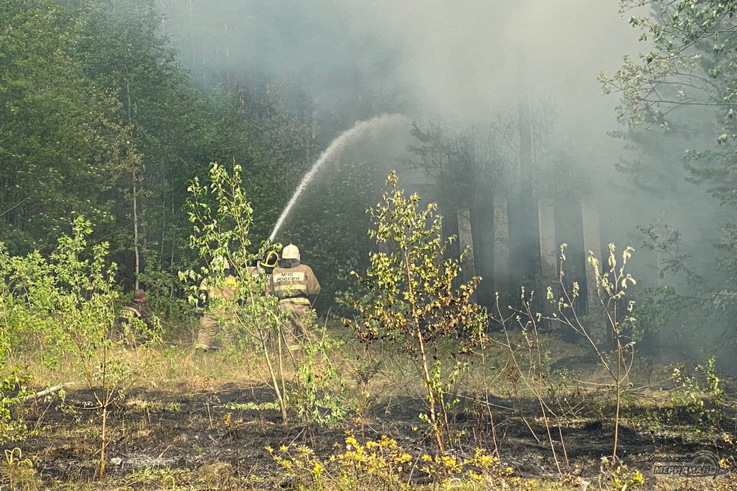 Площадь лесных пожаров в Свердловской области за сутки сократилась на треть