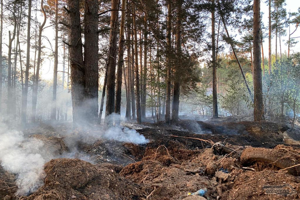 Четыре природных пожара возникло в Тюменской области за сутки