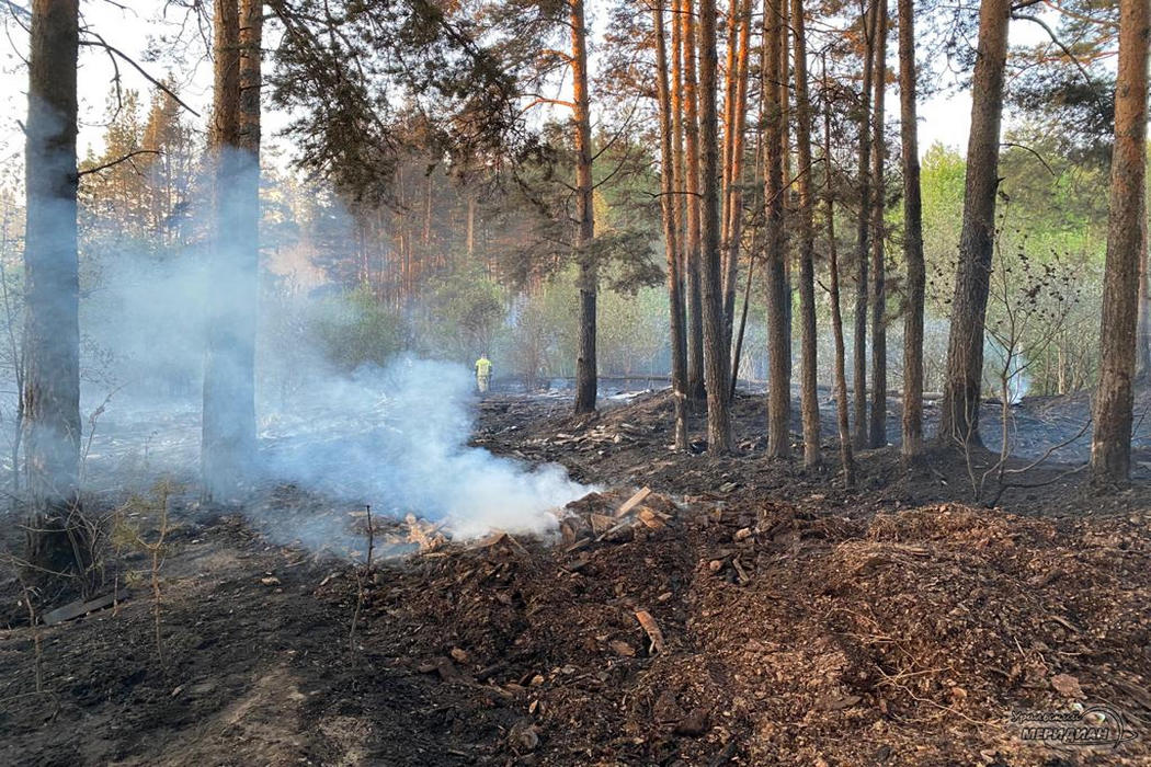 В Тюменской области действует 17 природных пожаров