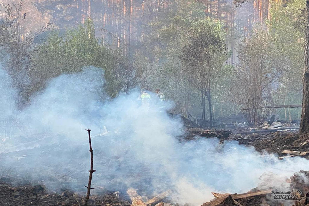 Площадь лесных пожаров в Свердловской области составляет 41 гектар