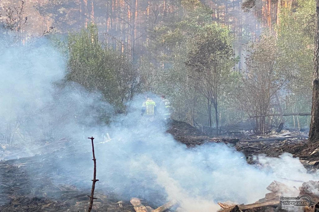 ГУ лесами Челябинской области объявило об отсутствии угрозы поселкам