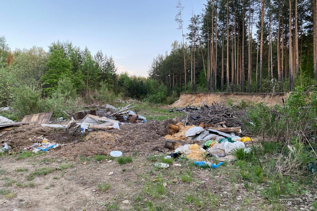 Свалка мусора в лесу ТКО