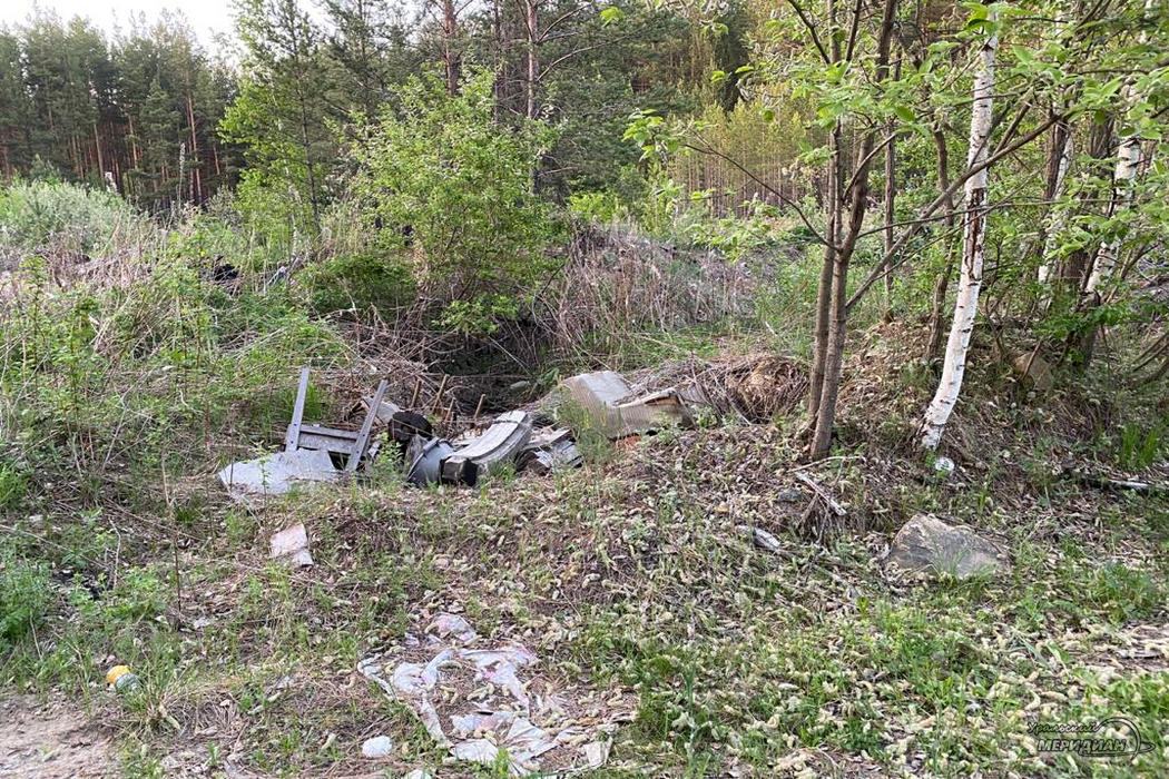 Свалка мусора в лесу