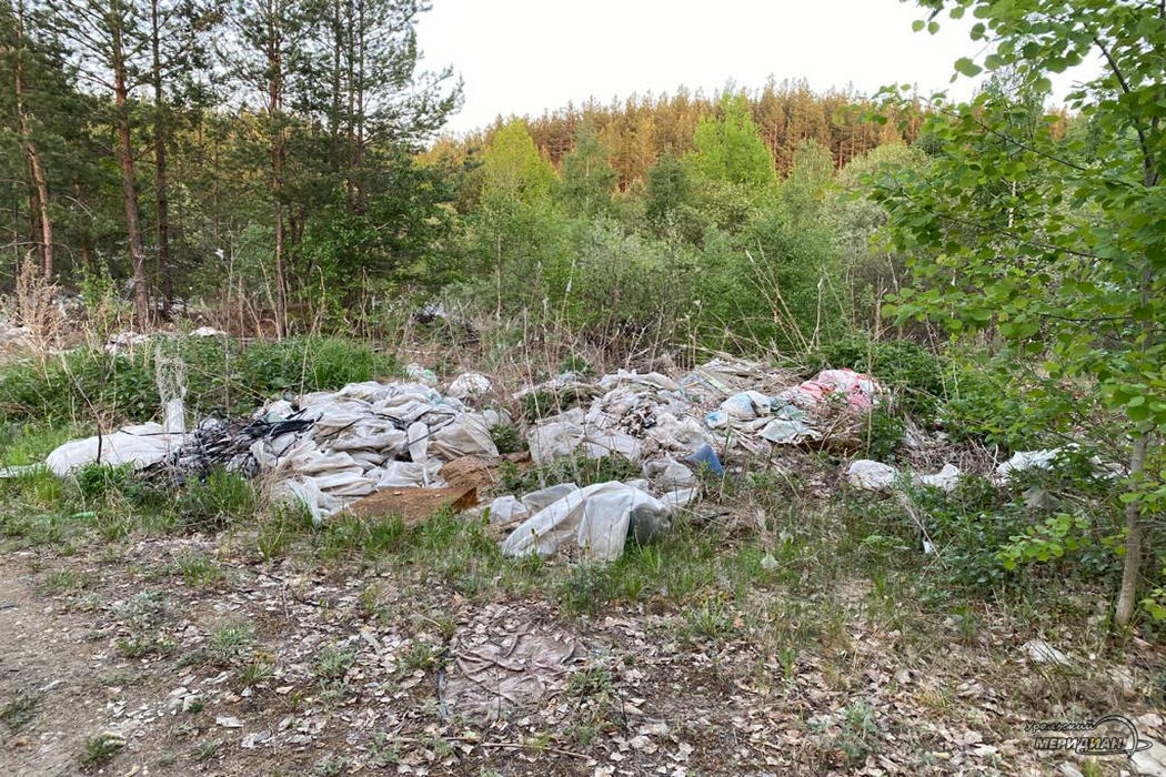 Несанкционированная свалка мусора в лесу