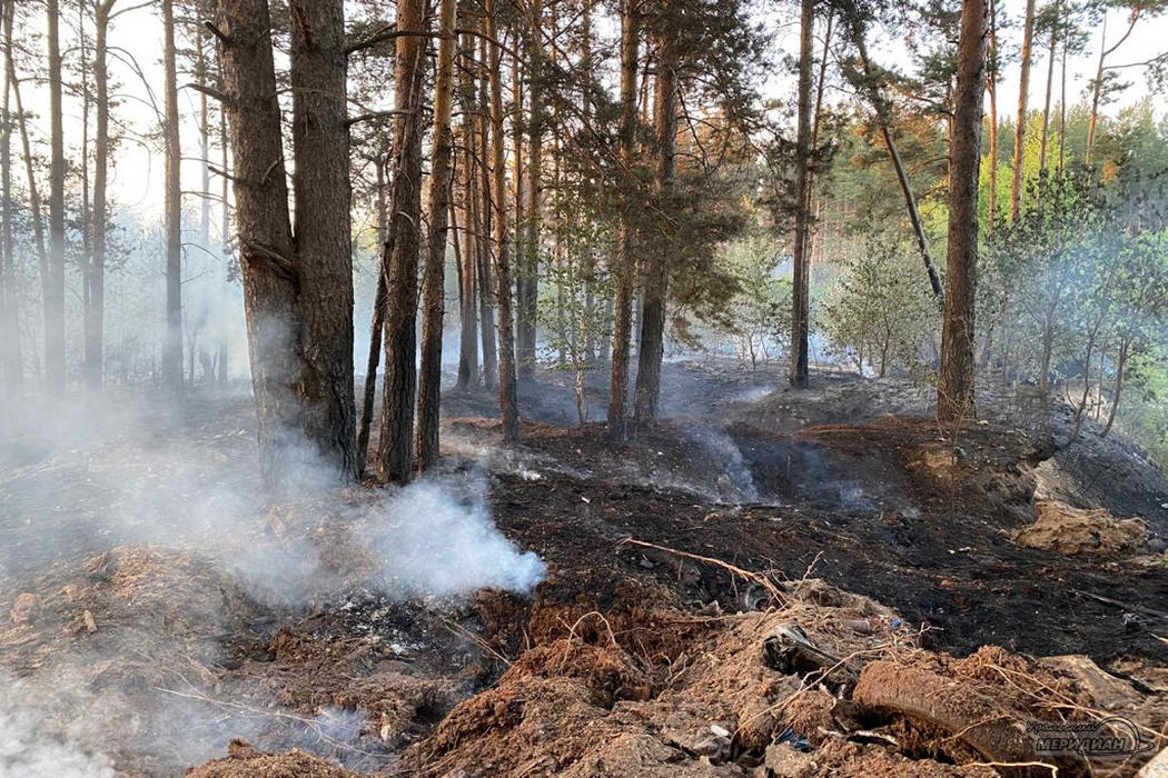 Один лесной пожар возник в Тюменской области за сутки