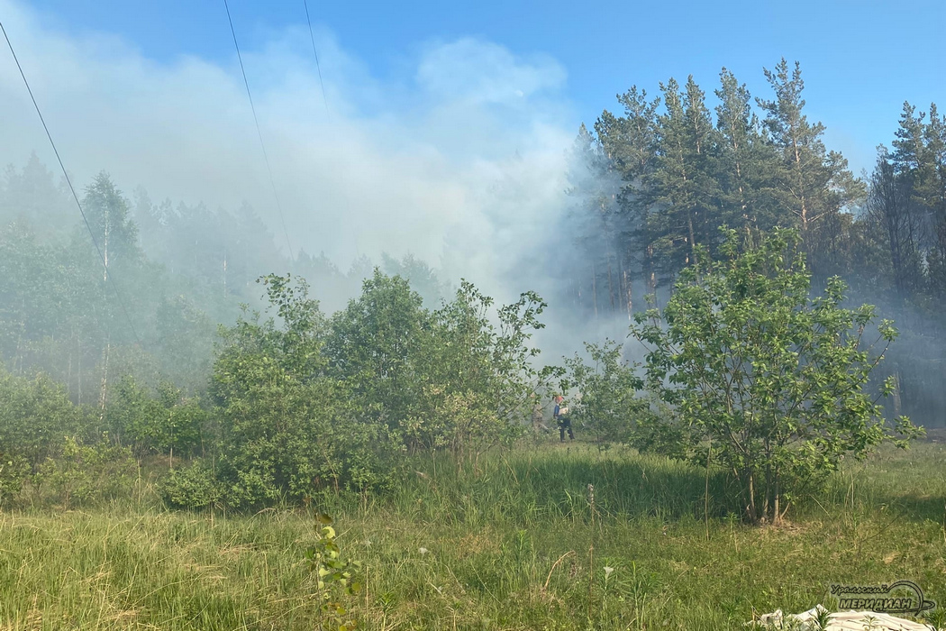 Пожар в лесу дым