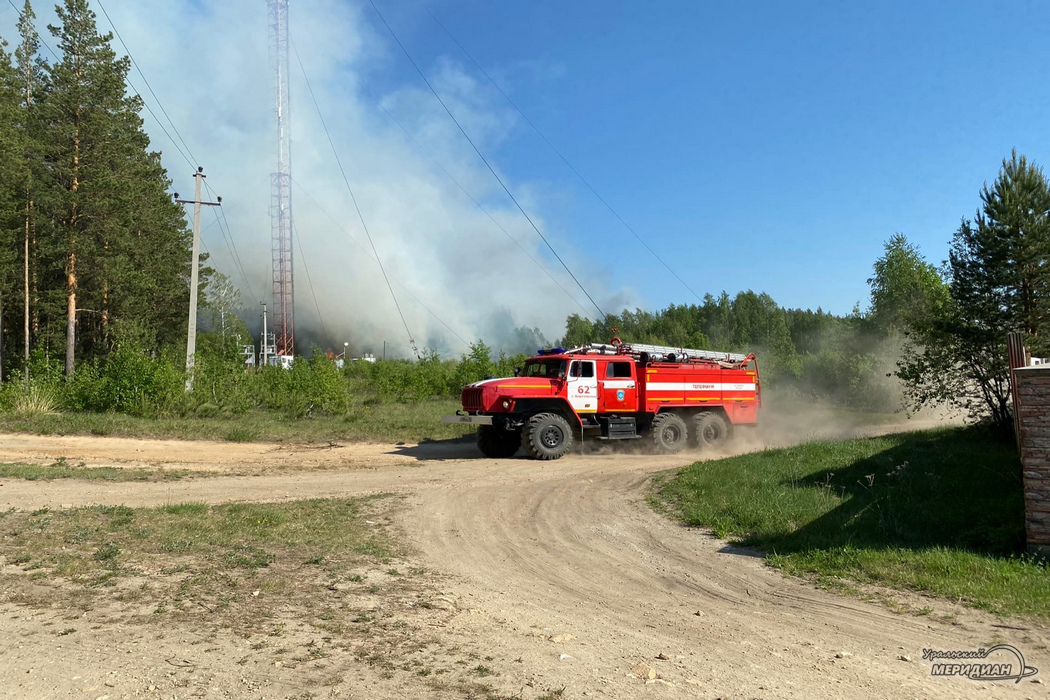Лесной пожар пожарная машина мчс дым