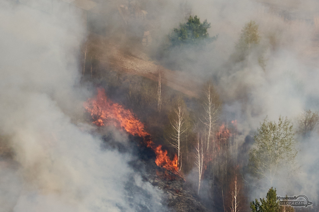 За сутки в Свердловской области возникло 12 новых лесных пожаров