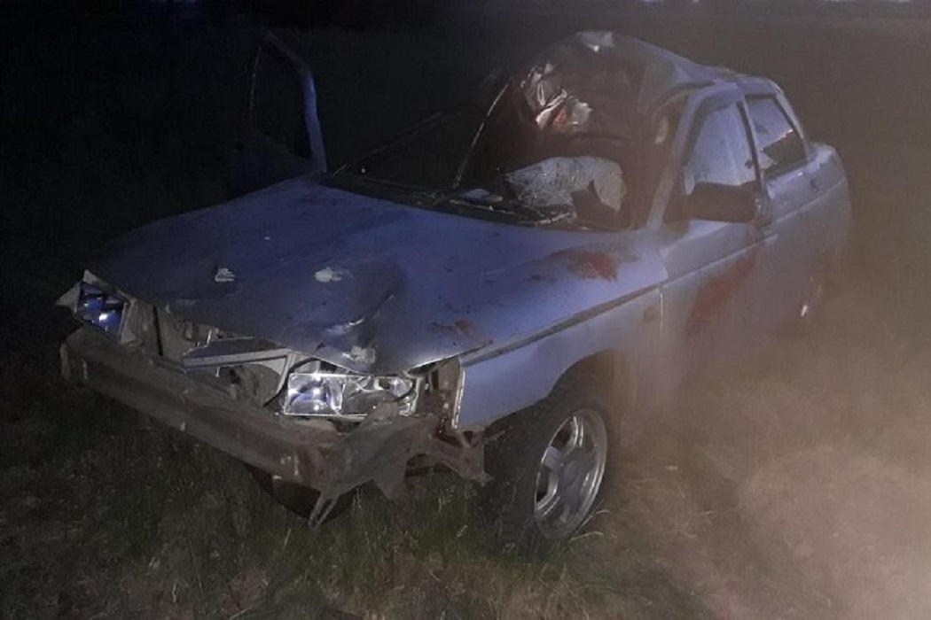 На дороге Екатеринбург-Курган два человека пострадали в аварии с лосём