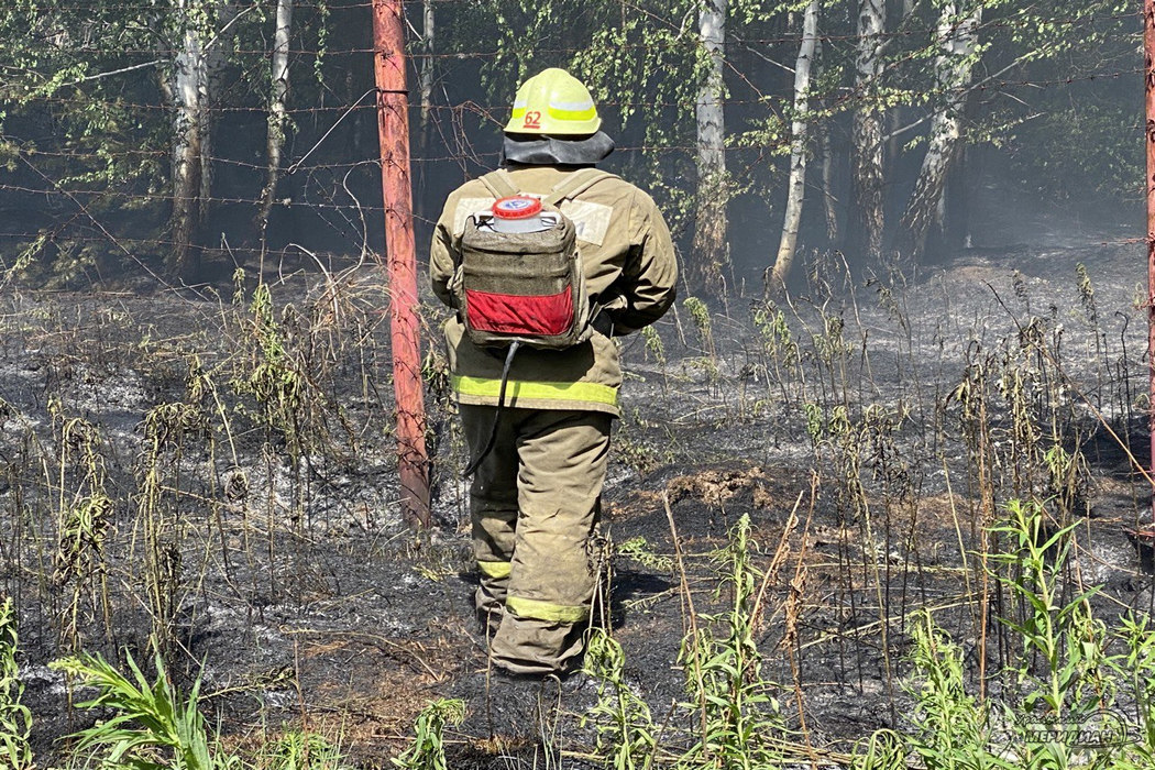 В Тюменской области действует два лесных пожара