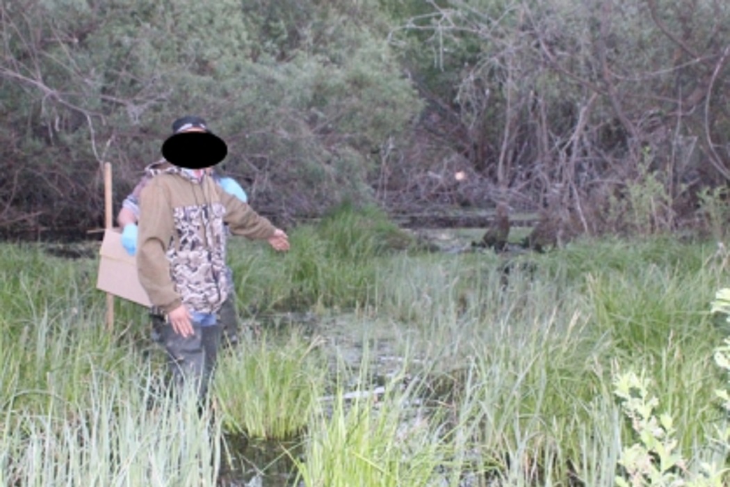 Молодой тюменец зверски убил односельчанина и утопил тело в болоте
