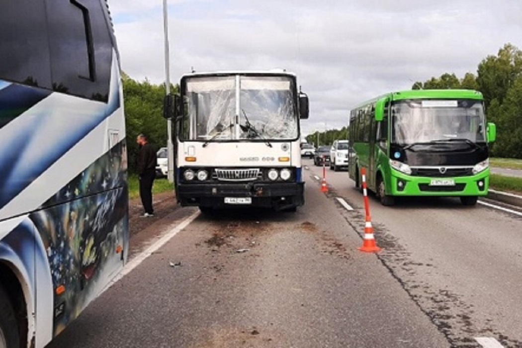 Под Тобольском в ДТП с двумя автобусами пострадали двое пассажиров