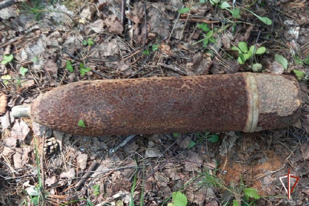 На Урале взрывотехники Росгвардии уничтожили найденный грибником снаряд