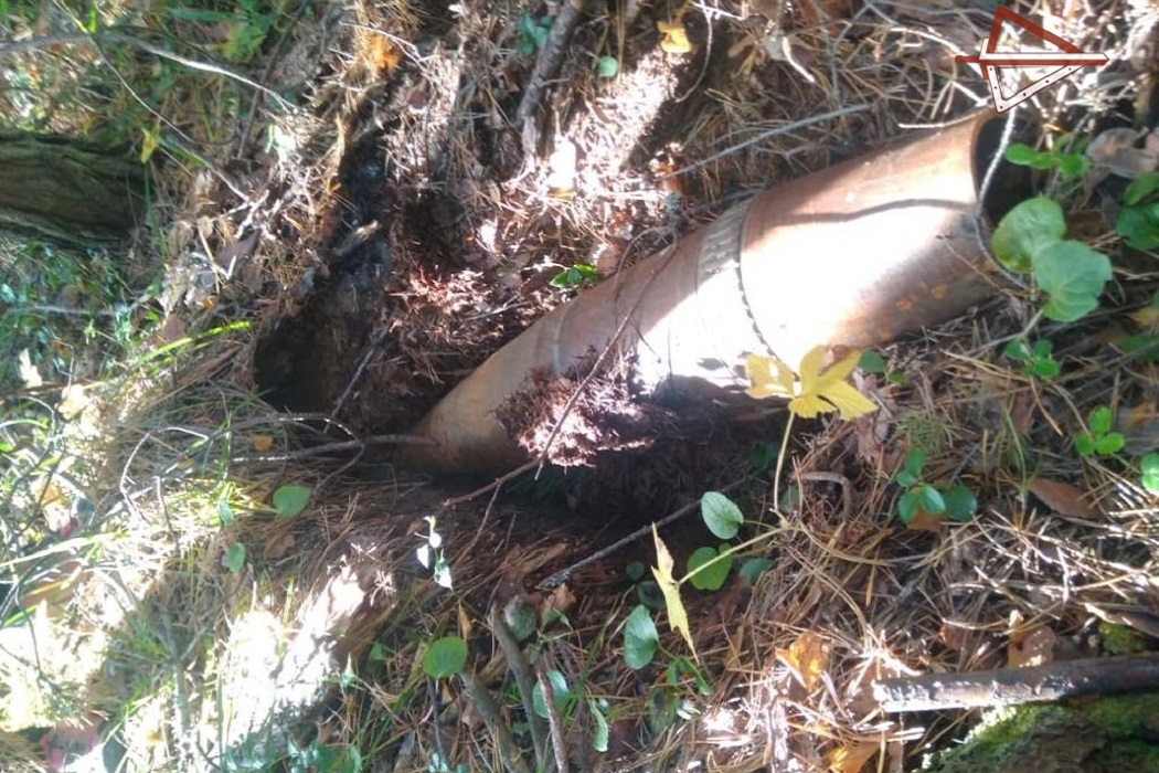 В уральском лесу грибник нашёл опасный снаряд со взрывателем