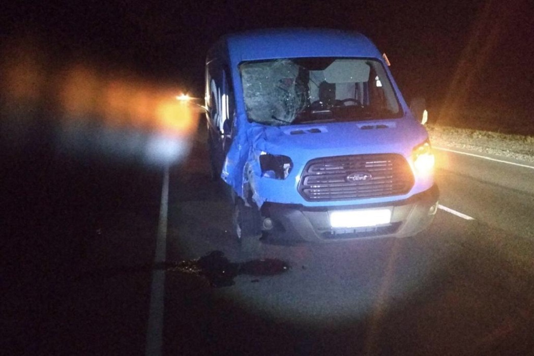 На тюменской трассе водитель фургона насмерть сбил пешехода