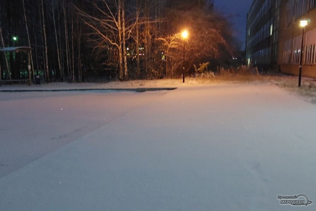 В Свердловской области выпал снег в ночь на 22 октября