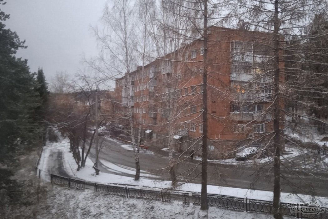 В Свердловской области выпал снег в ночь на 22 октября